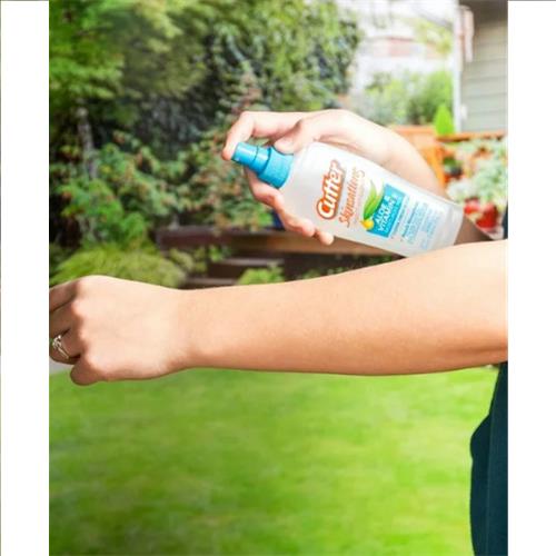 CUTTER 6oz BACKWOODS & SKINSATIONS INSECT REPELLENT