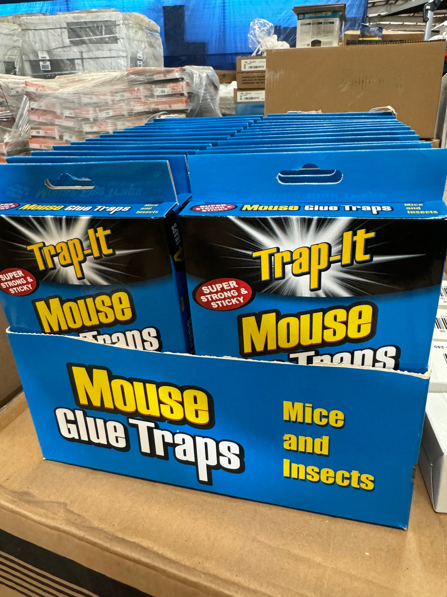 4pk MOUSE GLUE TRAPS