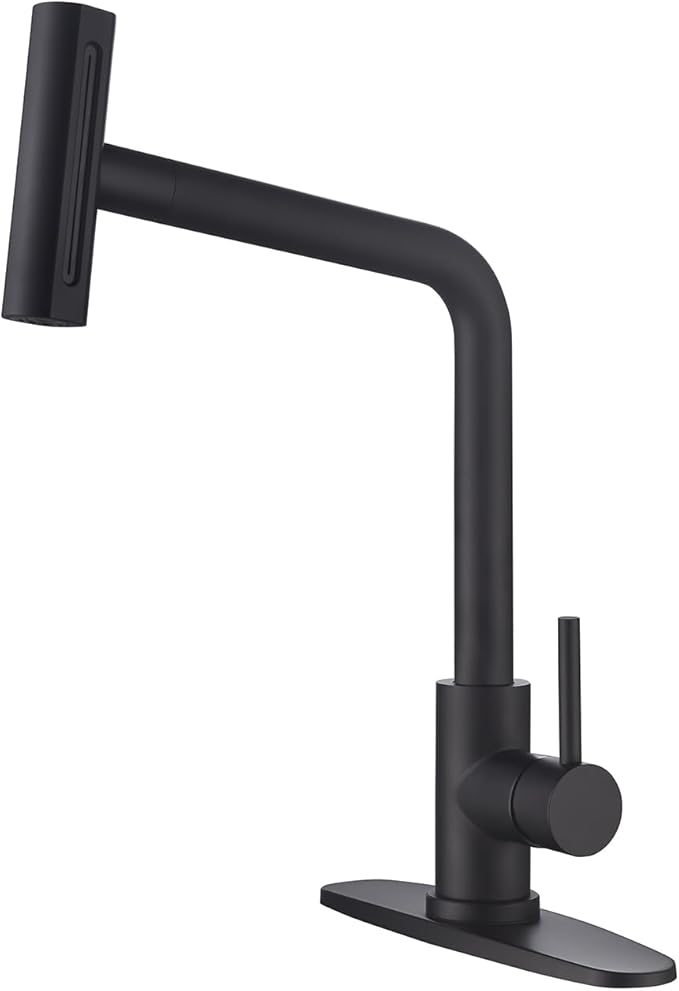 Tvane Black Pull-Down Kitchen Faucet