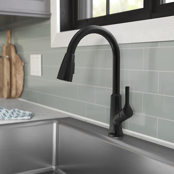 Elkay Single Handle Pull-Down Kitchen Faucet (Matte Black)