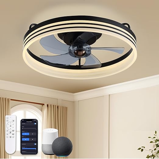 Ludomide 20" Smart Ceiling Fan