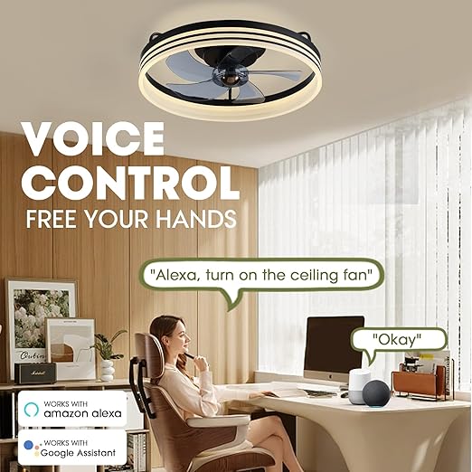 Ludomide 20" Smart Ceiling Fan