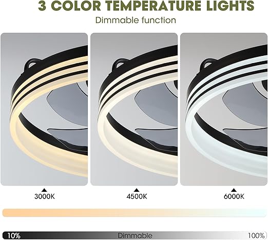 Ludomide 20" Smart Ceiling Fan