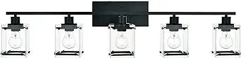 Teluce Modern 5-Light Vanity Light Fixture ( Black Finish )